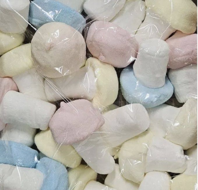 Champignon xxl la pièce 